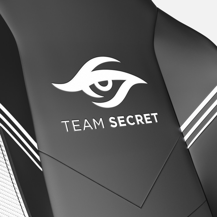 R22PU-Secret_01.jpg