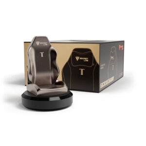 Secretlab Physical Gift Box